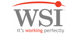 WSI Logo